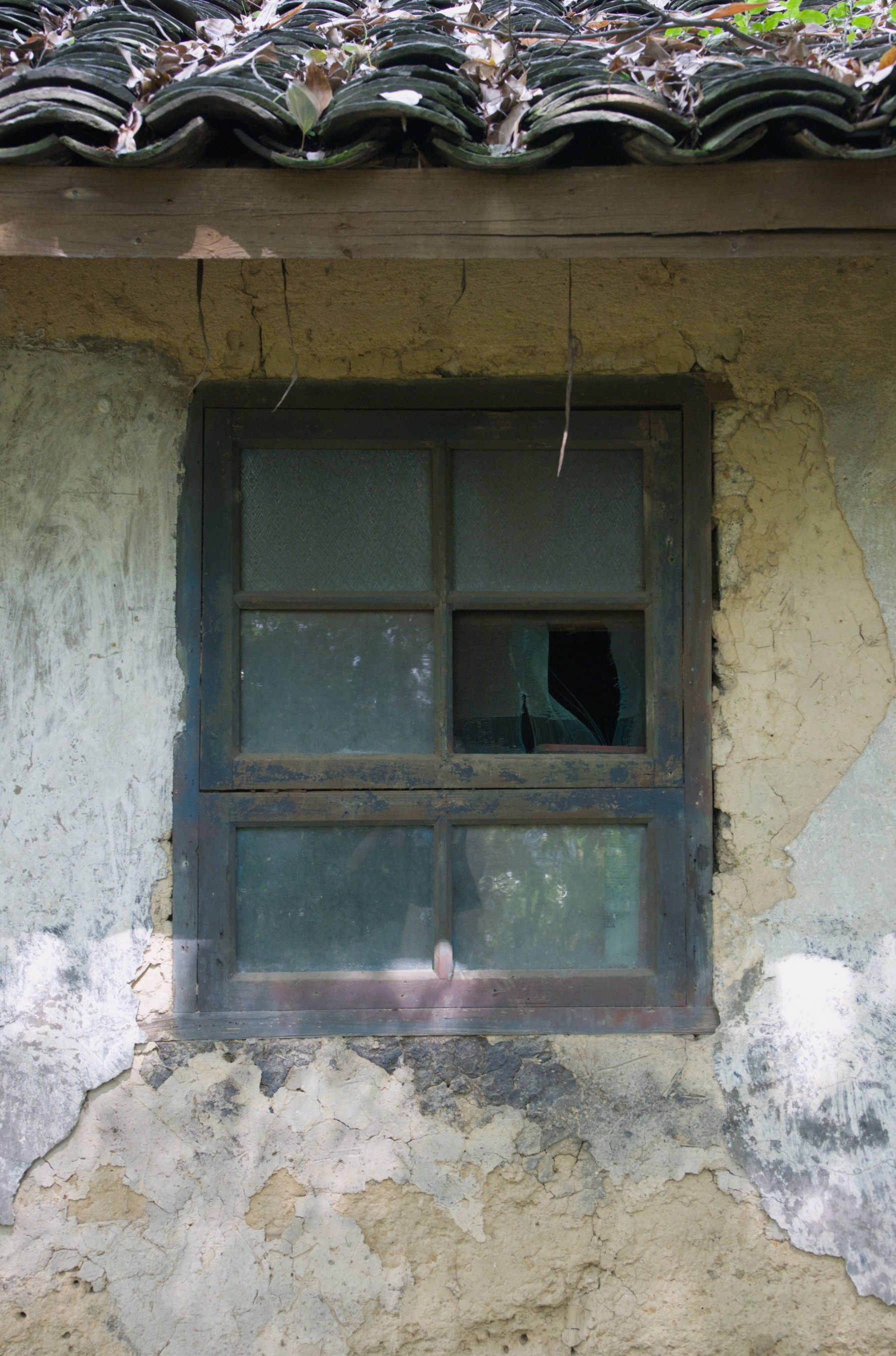 Windows | 窗